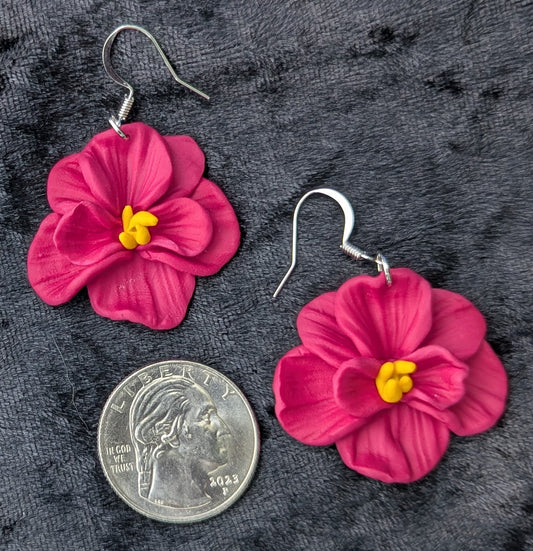 Heinz's Sentimental Earrings
