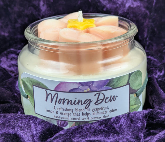 African violet candle peach flower soy and beeswax grapefruit lemon and orange odor eliminating
